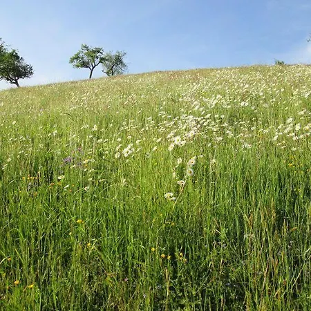 Hinterkimmighof * Oberharmersbach