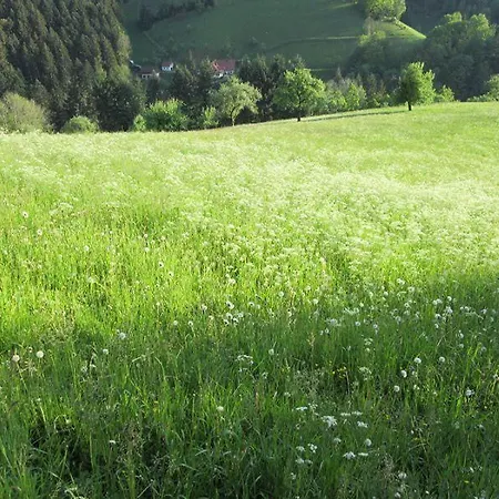 Apartman Hinterkimmighof Oberharmersbach