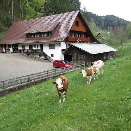 Hinterkimmighof Apartman