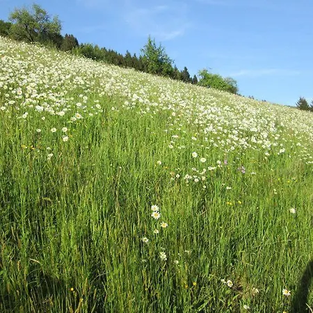 Hinterkimmighof * Oberharmersbach
